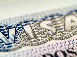 T visa vs. U visa in 2026: Which is the fastest path for survivors? James Immigration Law